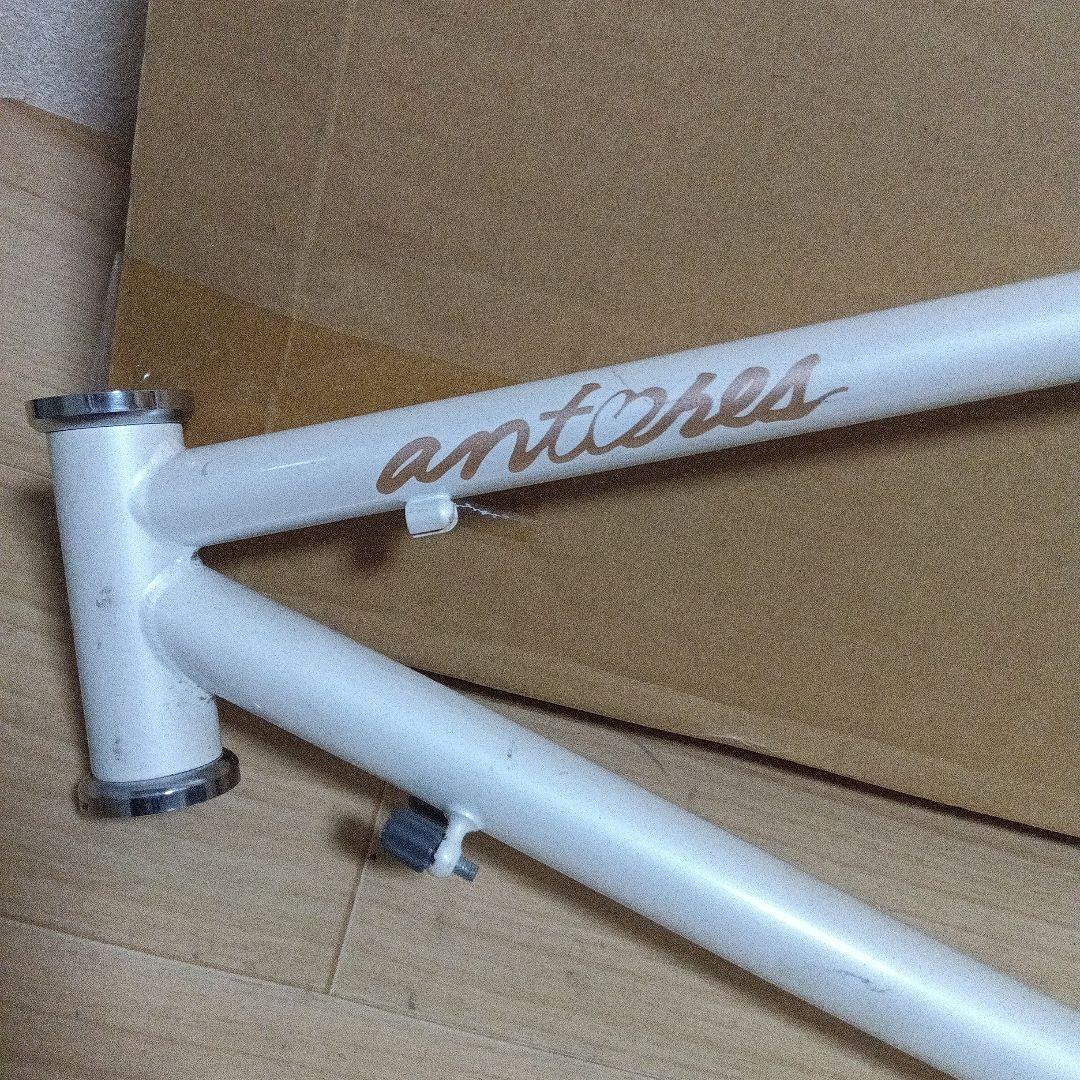 レディースモデル 41.5サイズ ワイズロード ANTARES 千葉北東 引取可