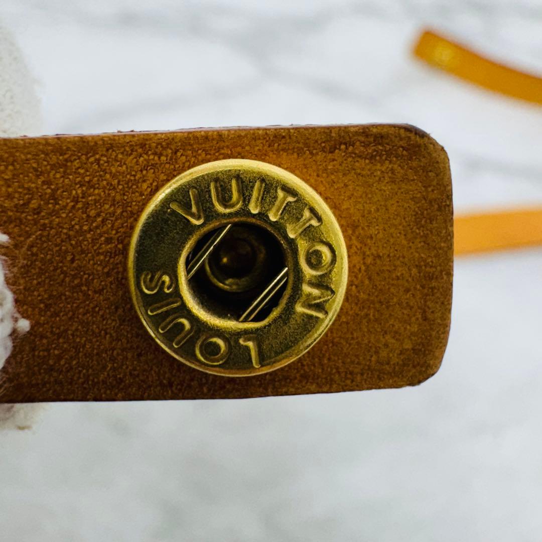 ✨ LOUIS VUITTON✨LV✨モノグラム✨ポシェットフロランティーヌ✨