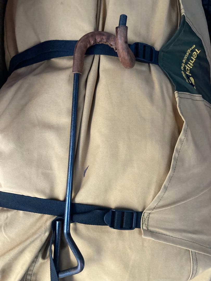 テンティピ　サファイア9cp他オプション