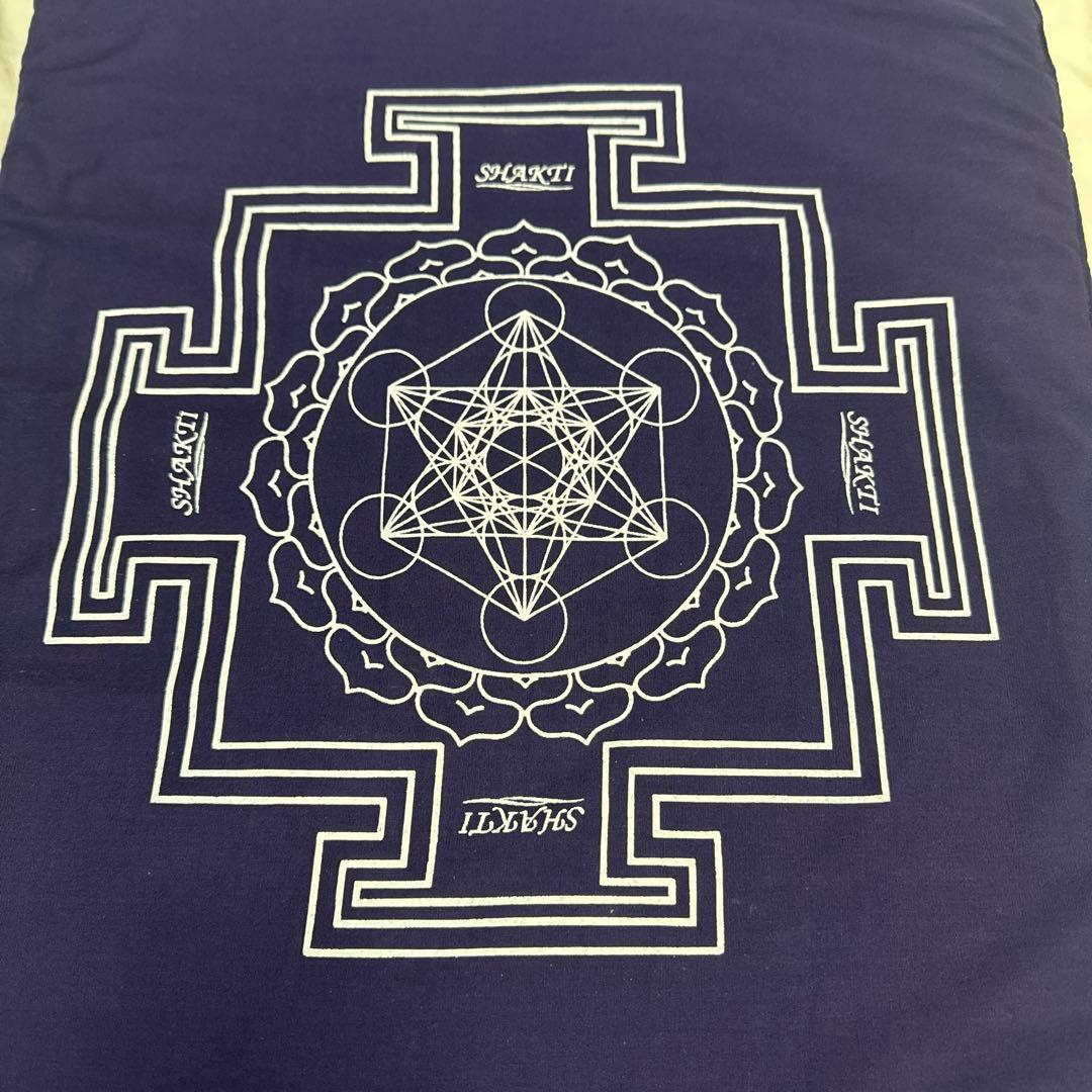 シャクティマット&ピローセット レベル3 advanced