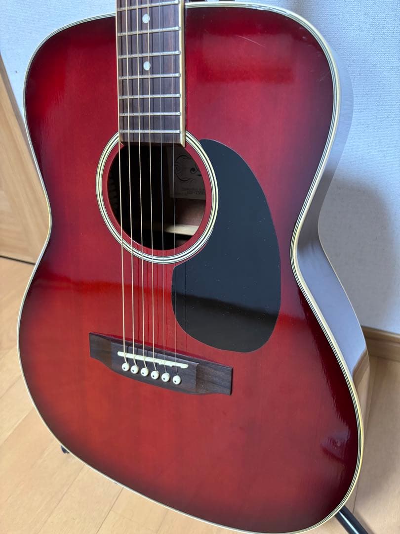 専用！美品！初心者、女性の方、学生さんに最適！！ARIA アリアADF250RD