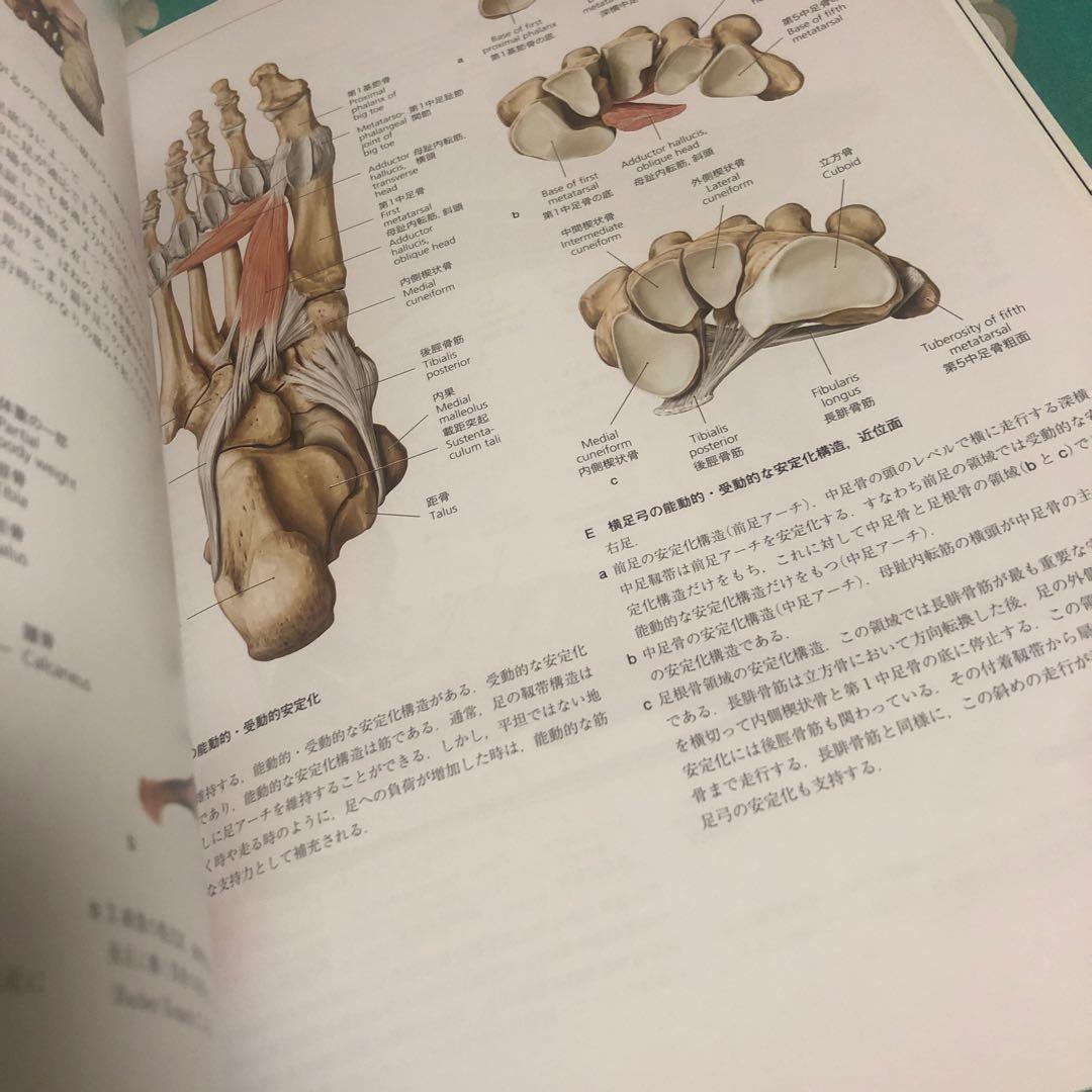 運動器臨床解剖アトラス　プロメテウス解剖学アトラス　解剖学専門書4冊セット