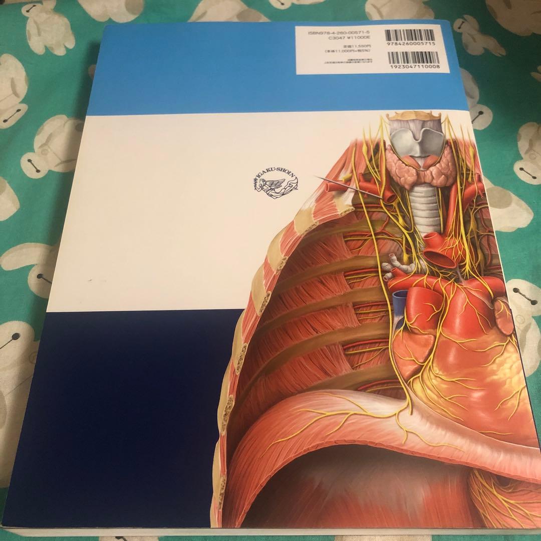 運動器臨床解剖アトラス　プロメテウス解剖学アトラス　解剖学専門書4冊セット