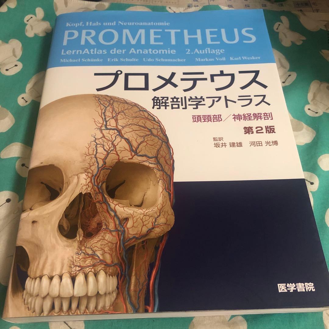 運動器臨床解剖アトラス　プロメテウス解剖学アトラス　解剖学専門書4冊セット