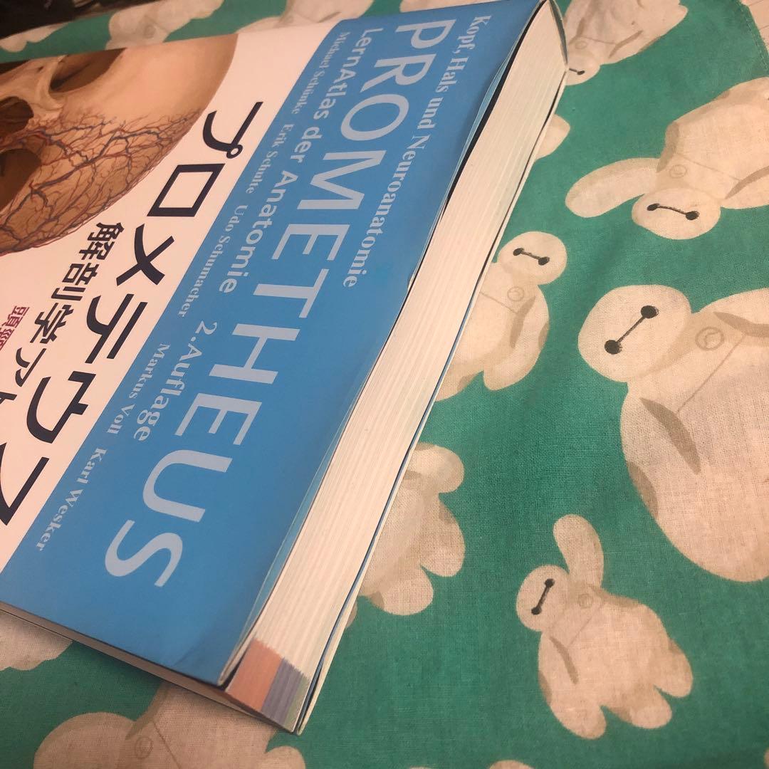 運動器臨床解剖アトラス　プロメテウス解剖学アトラス　解剖学専門書4冊セット