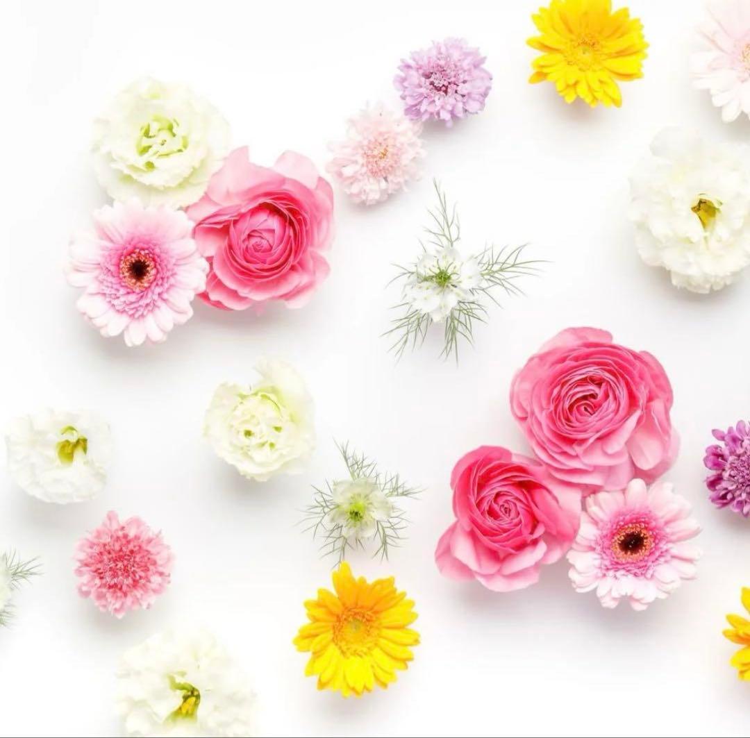 りん様　FOXEY NEW YORK