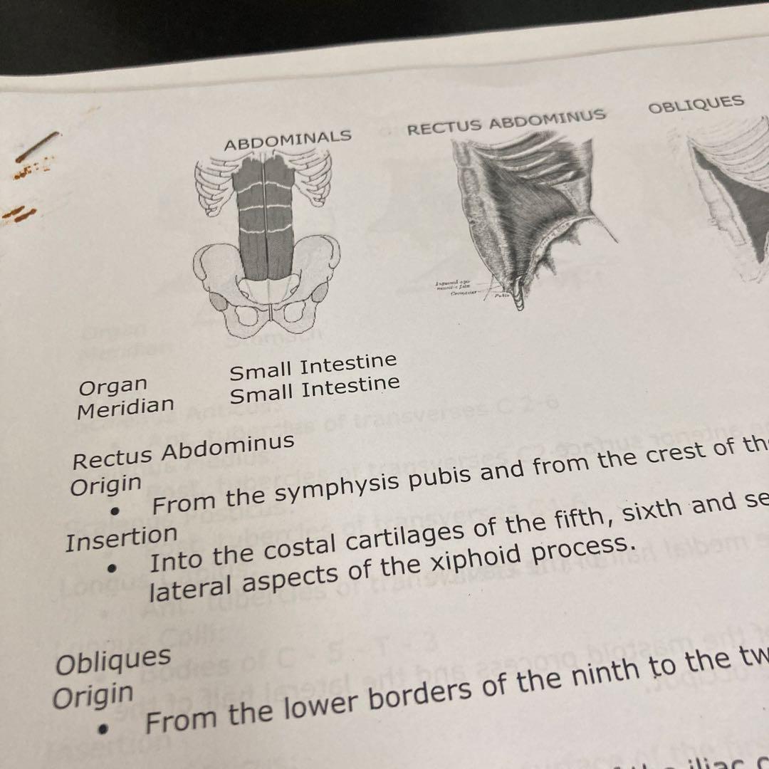 Applied Kinesiology Session 1〜8セミナーノート英語
