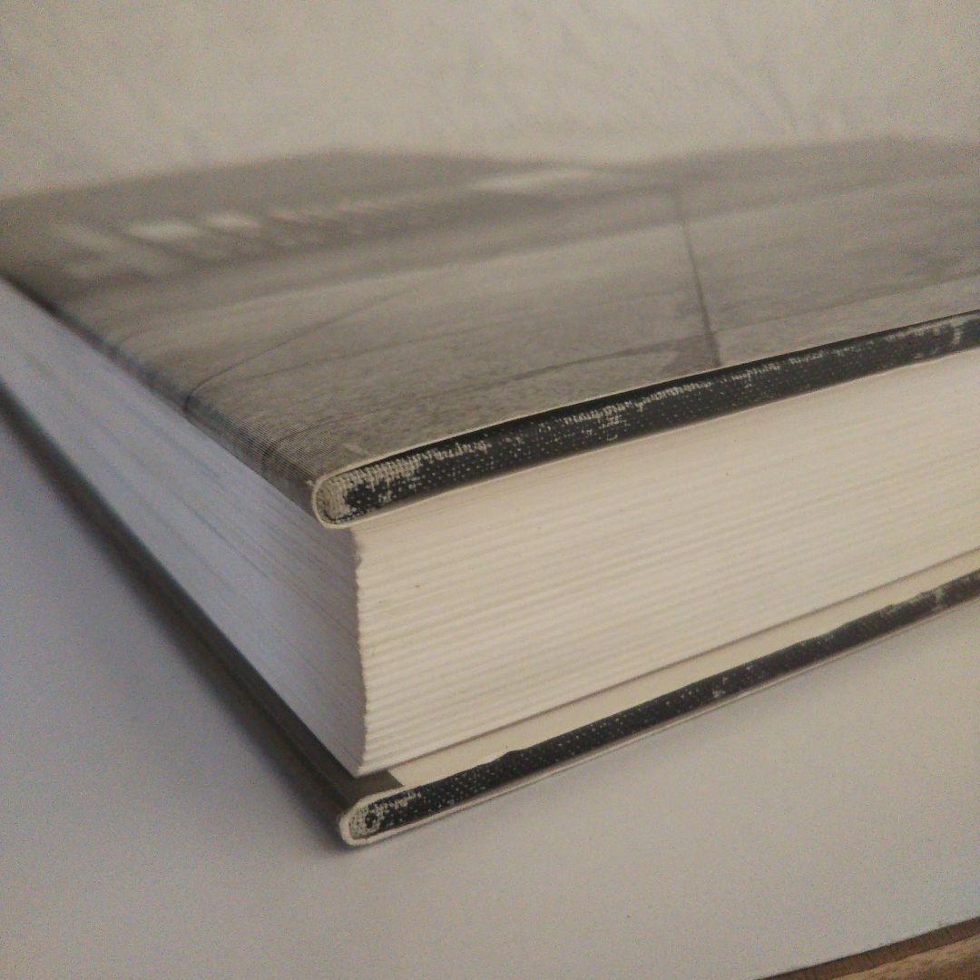 評伝ミース・ファン・デル・ローエ ：ハードカバー 昭和62年12月15日 発行