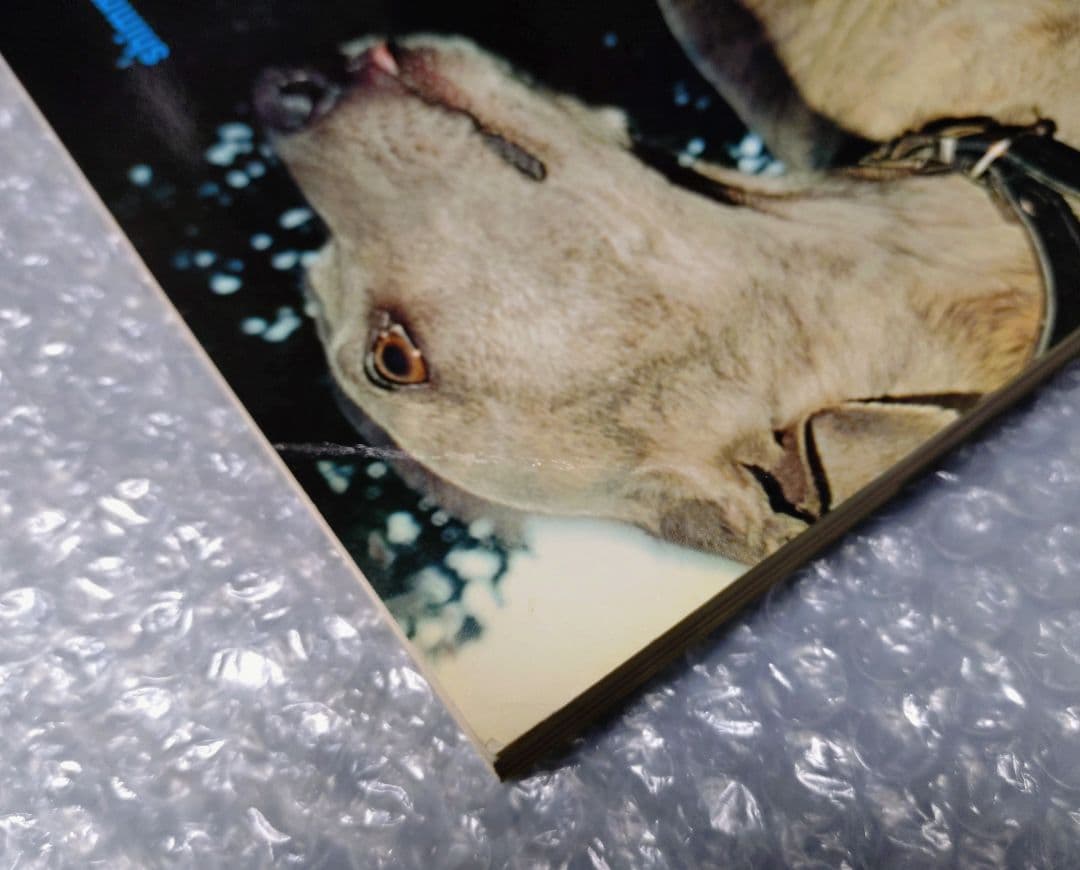 purple number 14 winter 2003 パープル