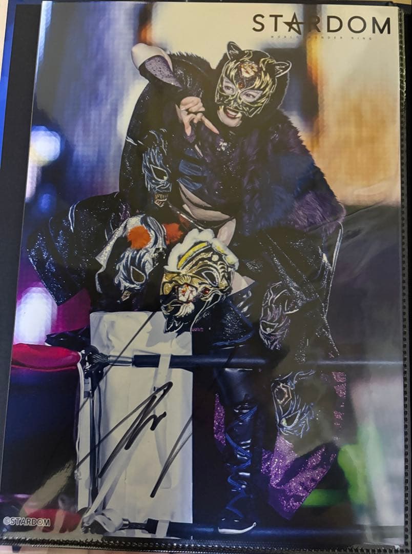 STARDOM スターライトキッド　ポトレ9枚セット