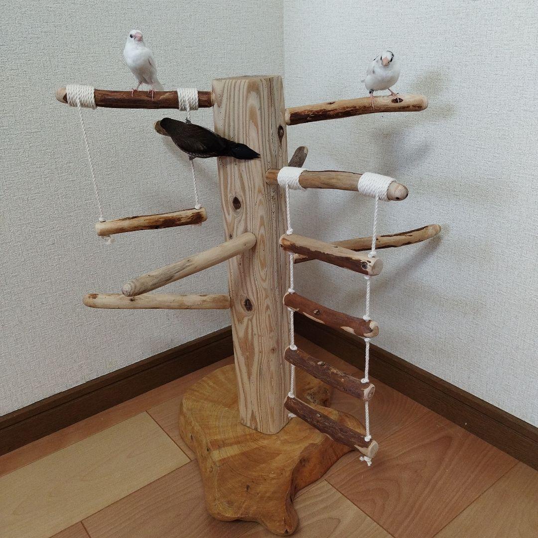 【中型鳥用】天然木バードアスレチック