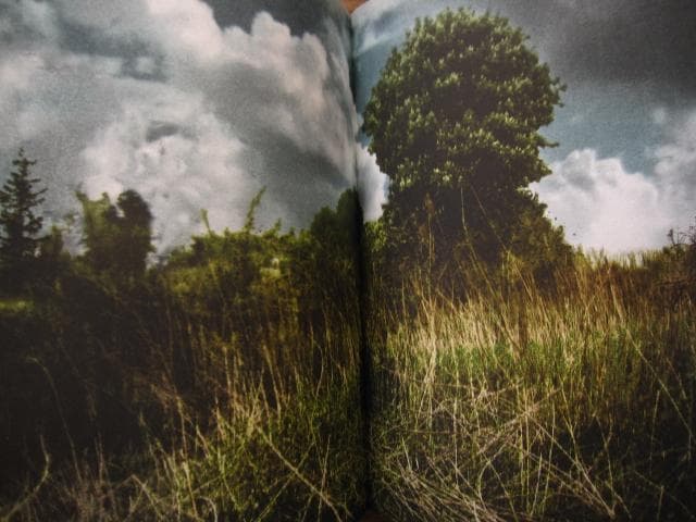 アート・デザイン・音楽 An Vogelhausen Mangelt Es Jedoch Nicht