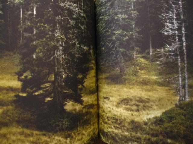 アート・デザイン・音楽 An Vogelhausen Mangelt Es Jedoch Nicht