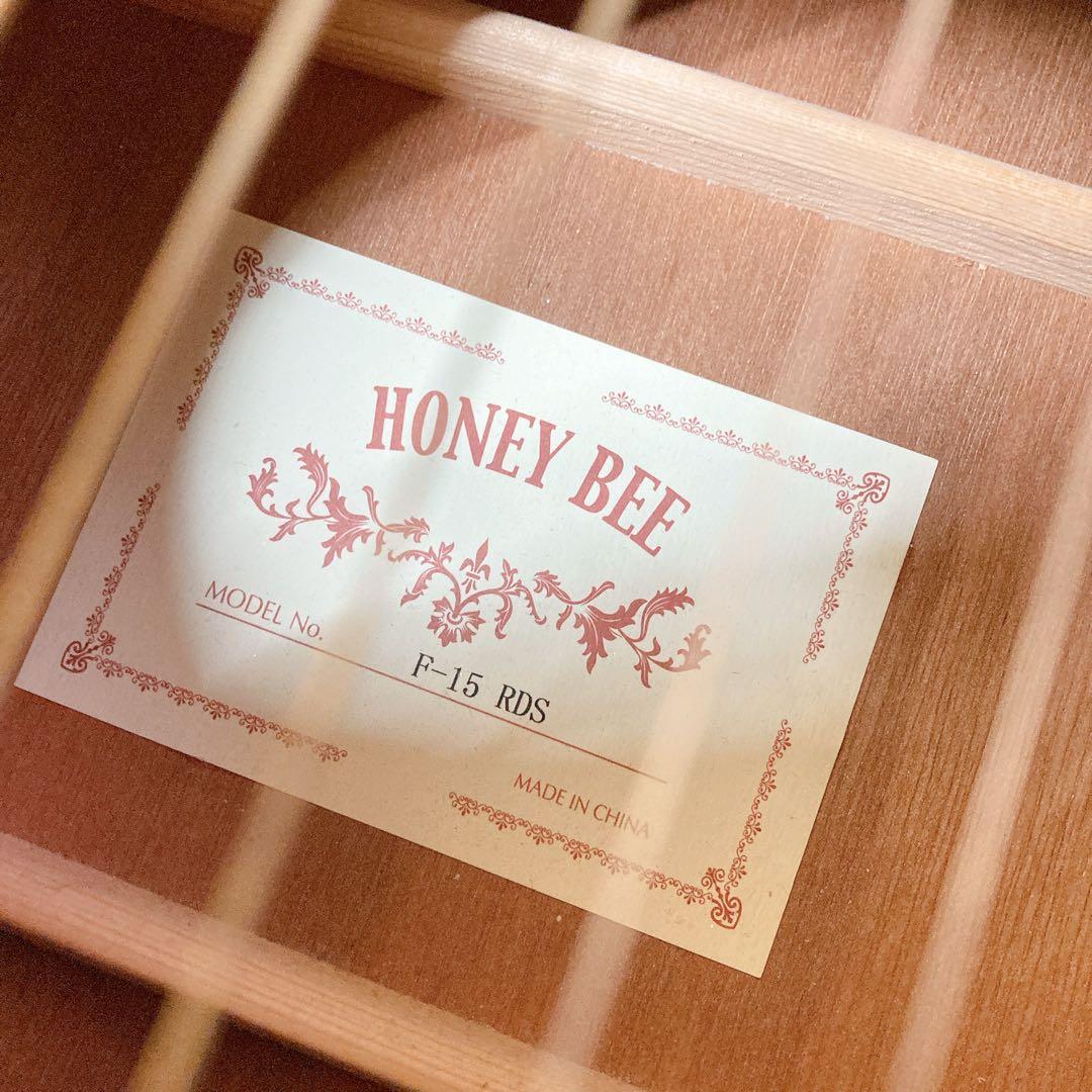 HONEY BEE F-15 RDS ハニービー　アコースティックギター
