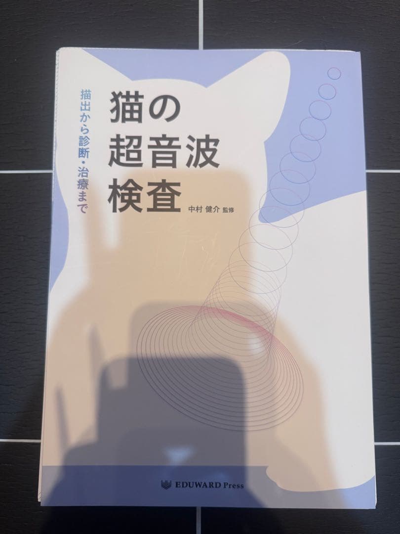 ＊裁断済み　猫の超音波検査