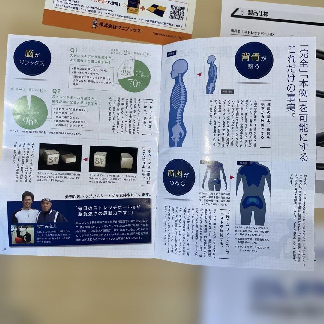 【美品】LPN ストレッチポール　EXネイビー　正規品