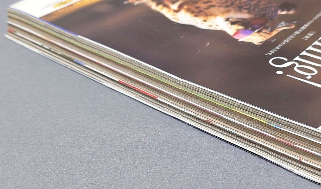 週刊ヤングジャンプ2011年41号『東京喰種/トーキョーグール』新連載/石田スイ