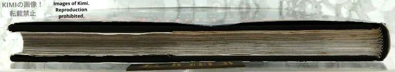 マグナム20世紀の顔 ヒーロー&アンチヒーロー 大型本 1992 初版第1刷発行