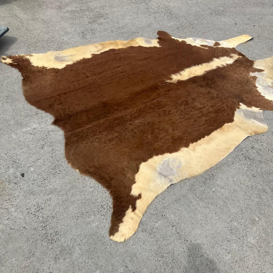 ヴィンテージ 大型 カウラグ 牛毛皮 敷物 絨毯 ラグマット アンティーク 半裁