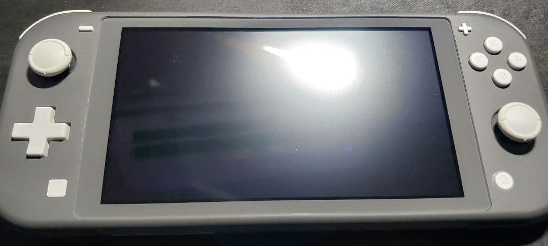 Nintendo Switch Lite グレー 本体のみ　通常モデル