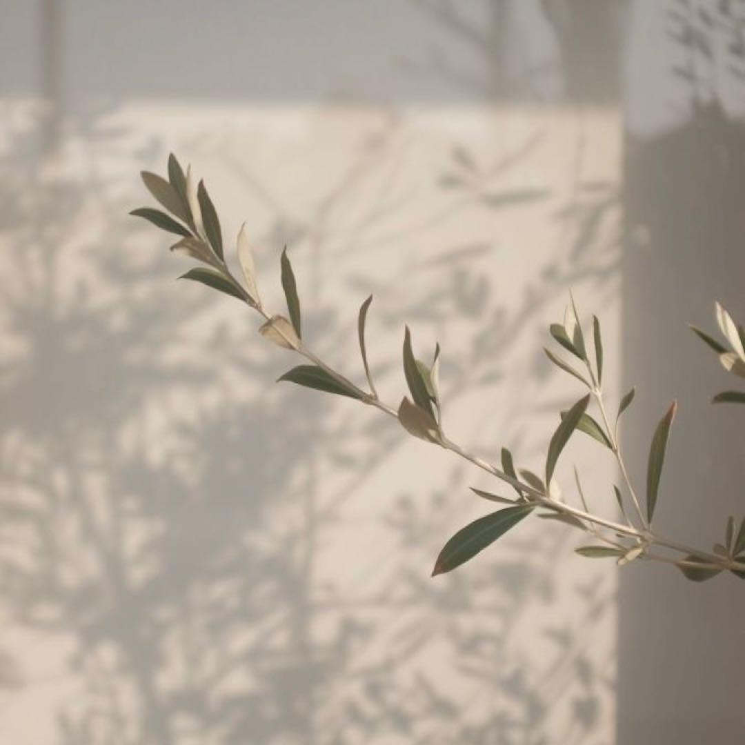 りぃーママ⭐︎