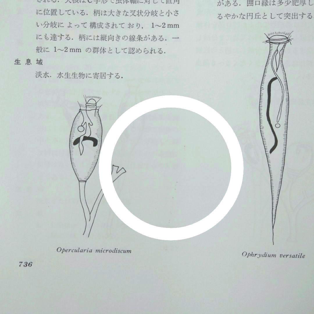 原生動物図鑑　猪木正三監修　講談社