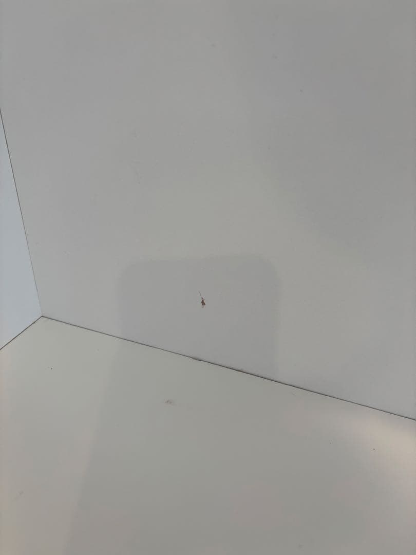 キッチンボード キッチンカウンター 幅120【送料込み】