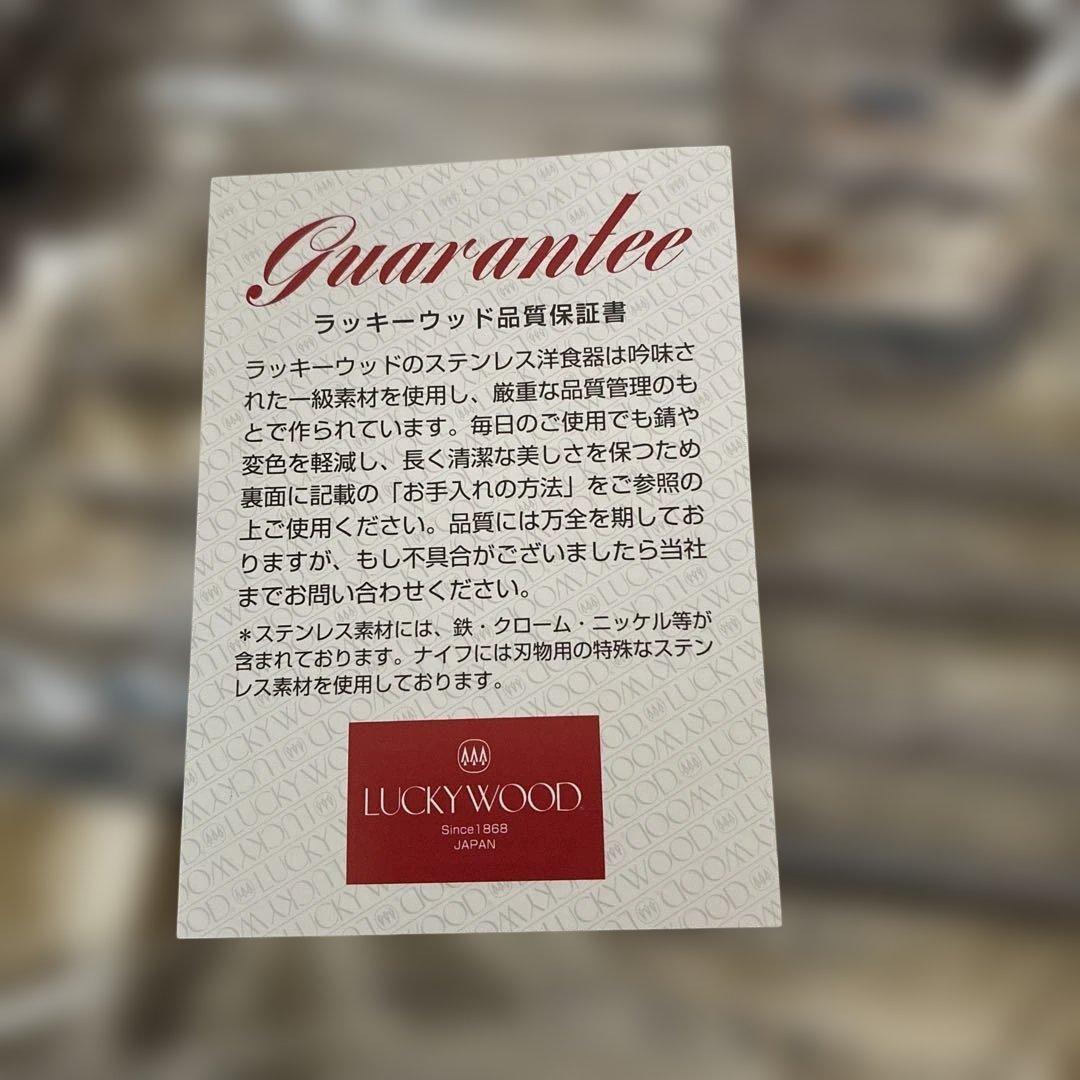 ラッキーウッド　<エメラルド> 25pc.ディナーセット