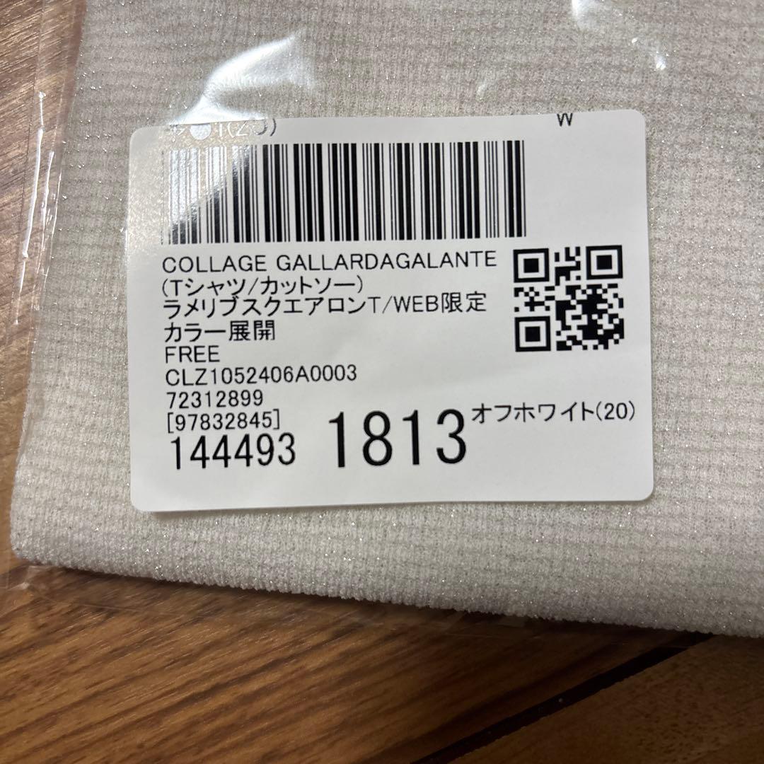 新品　COLLAGE GALLARDAGALANTE　シアーラメリブカットソー