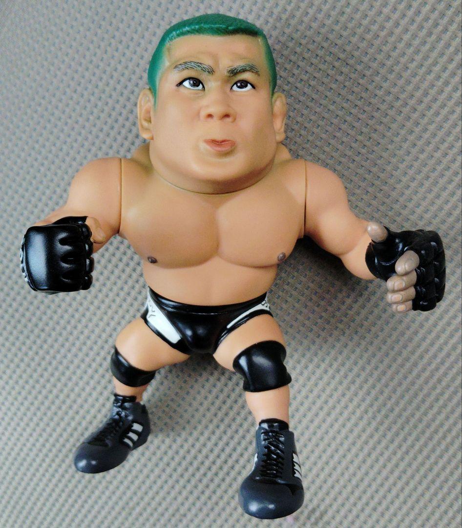 HAOコレクション　藤田和之　レア‼️