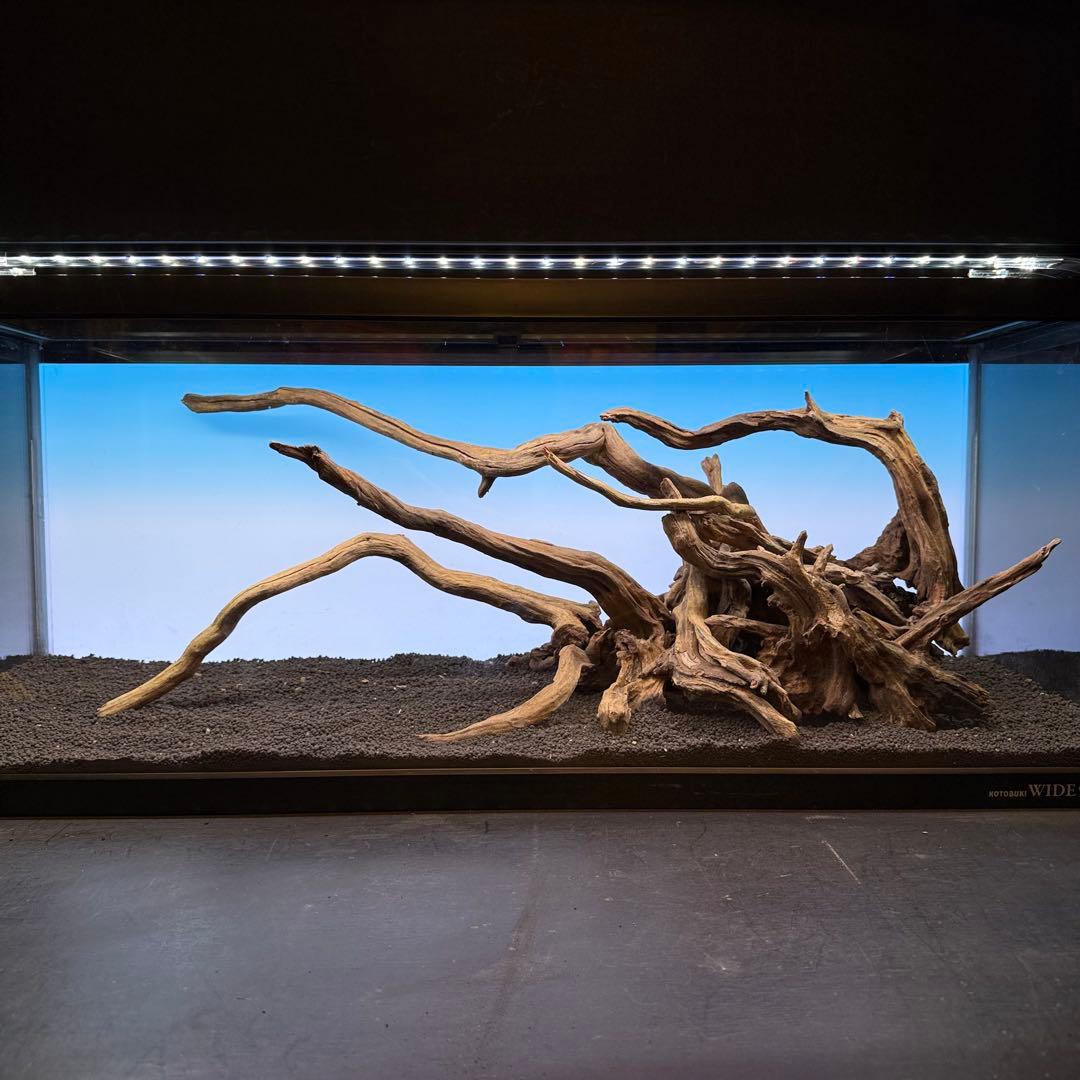 MSRW-6926 天然流木レイアウトセット　スリムウッド　アクアリウム