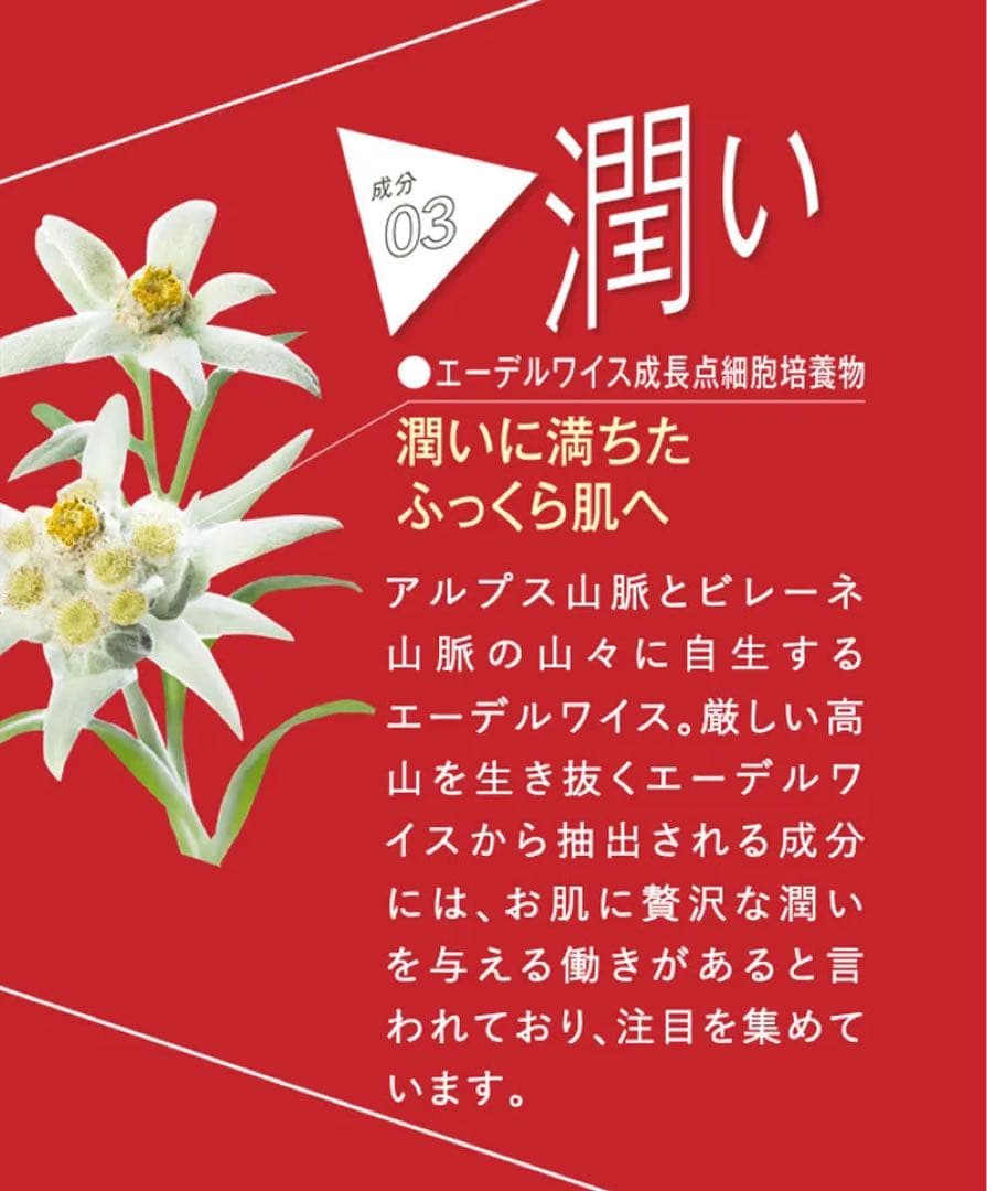 【新品】エニシー　グローパックセット（炭酸ガスパック/10回分）