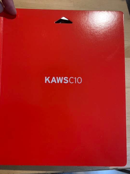 kaws c10 the kimpsons 初期作品集 アートブック