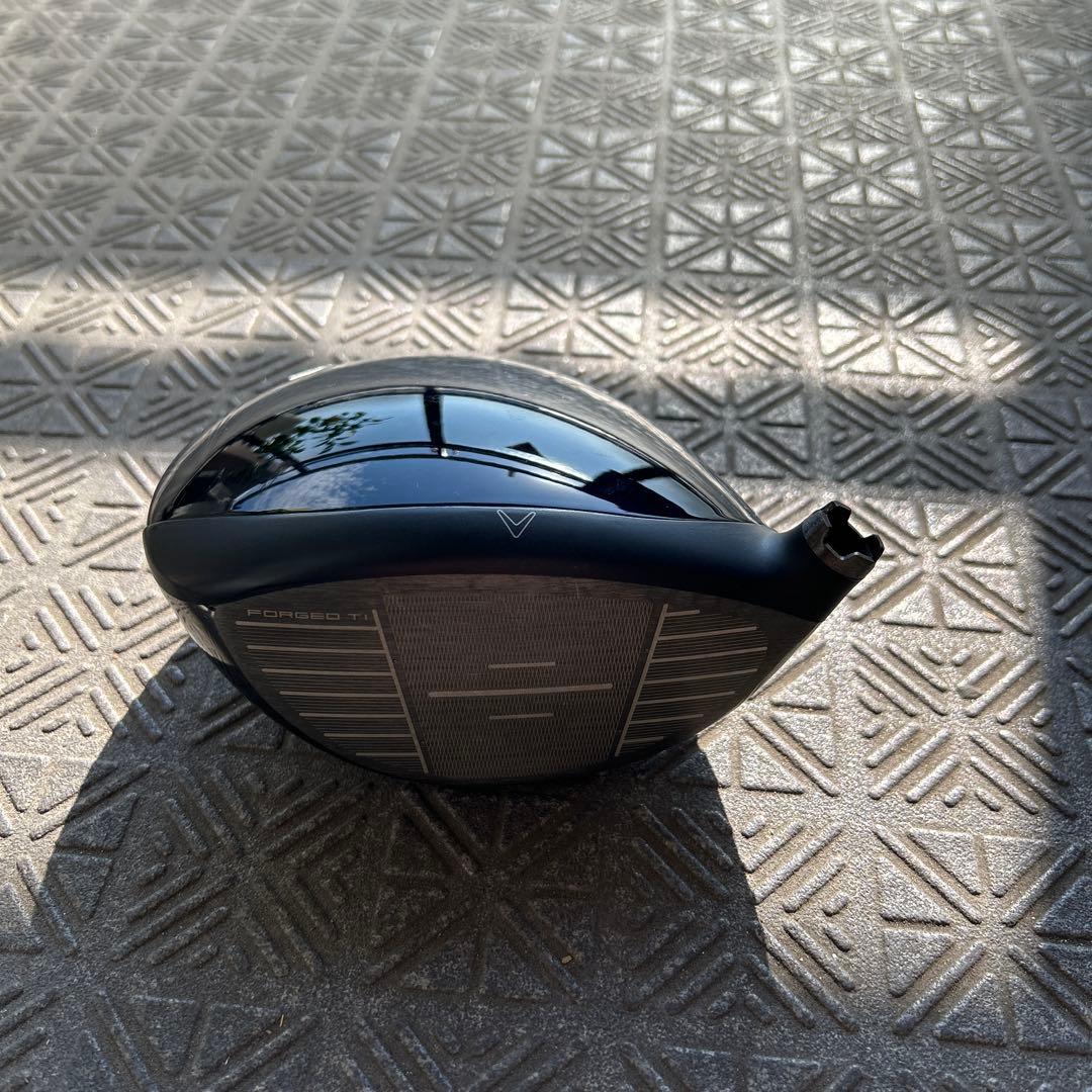 パラダイム (ヘッドのみ)