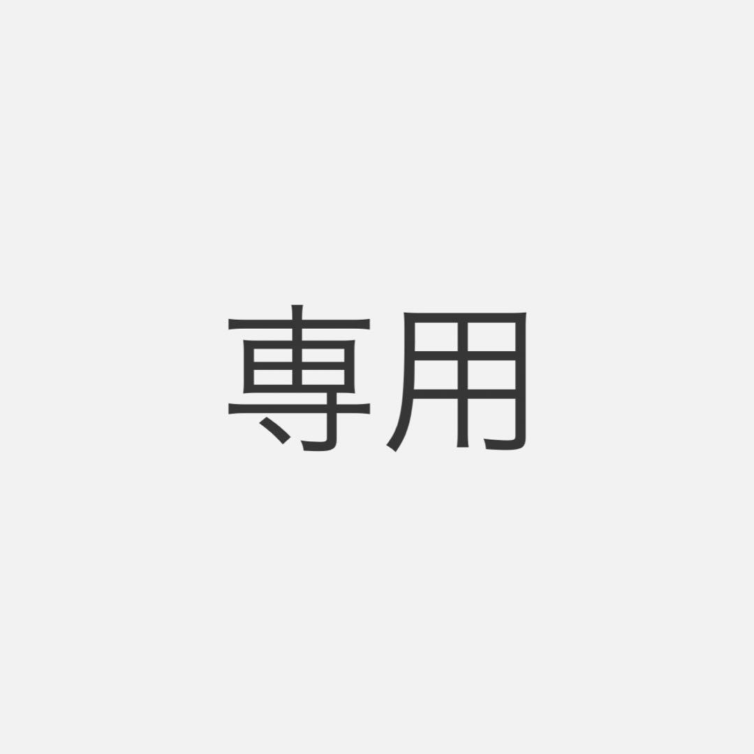 とも様H196_A2シルバーフレーム