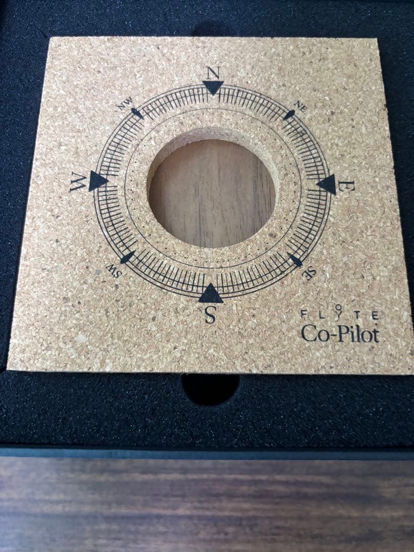 FLYTE ニコラ 真空管浮遊ランプ