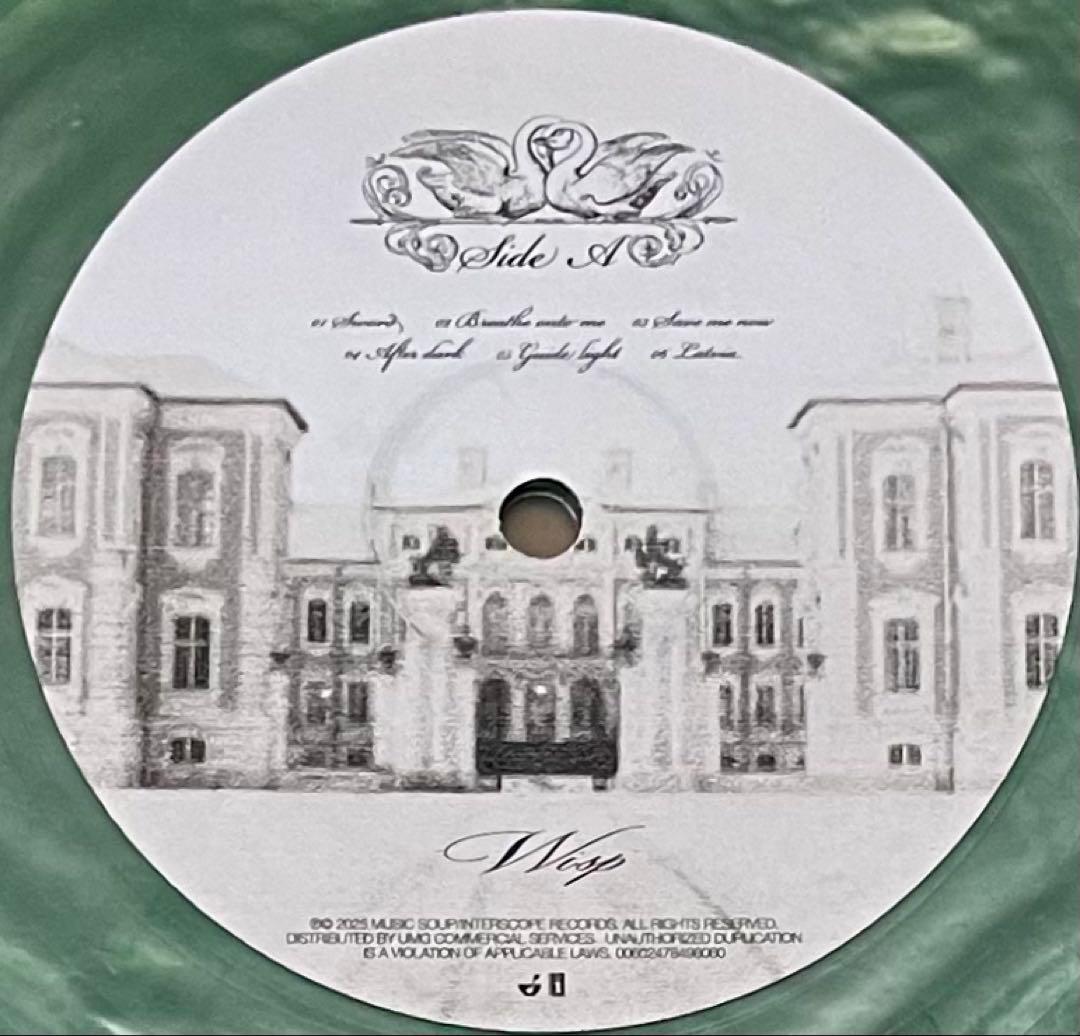 Wisp If Not Winter 限定版 LP レコード　レア 希少