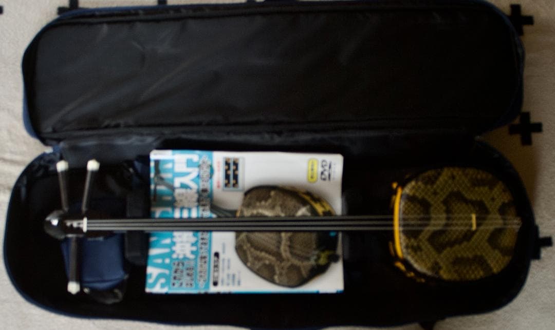 三線 沖縄 初心者セット 人工皮 ケース、爪、教本などset 三味線　送料込