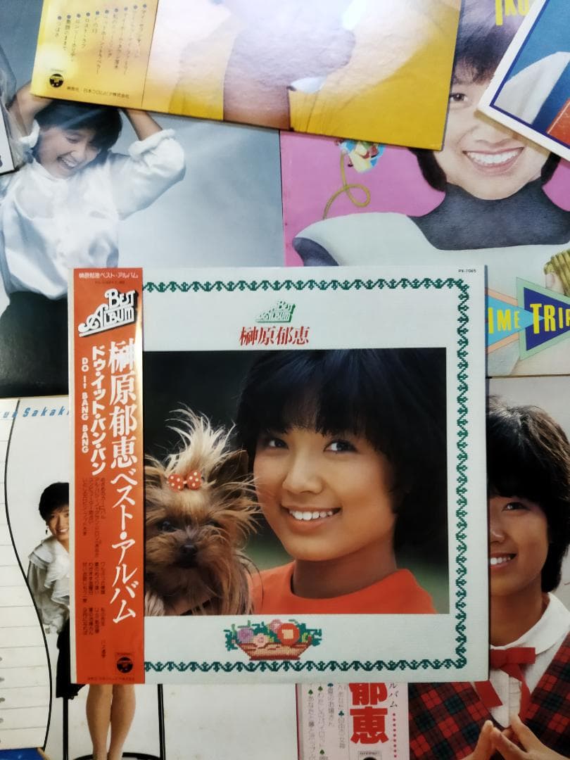 榊原郁恵【20枚】TF0111-2 LPレコード