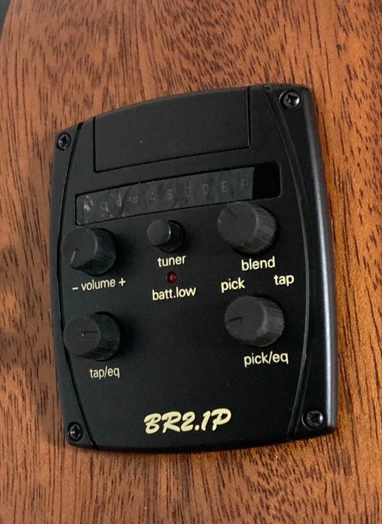 【極美品】Baton Rouge AR11C/ACE-12 エレアコ 12弦