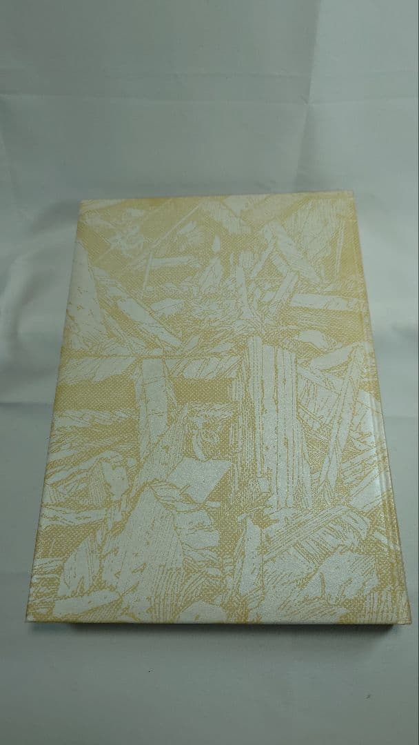 【希少】『童夢』大友克洋 原画サイズ 限定5,000部 コミックス初版本セット