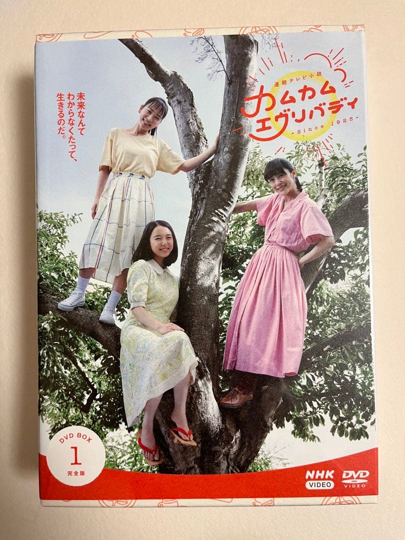 カムカムエヴリバディ DVD BOX 1