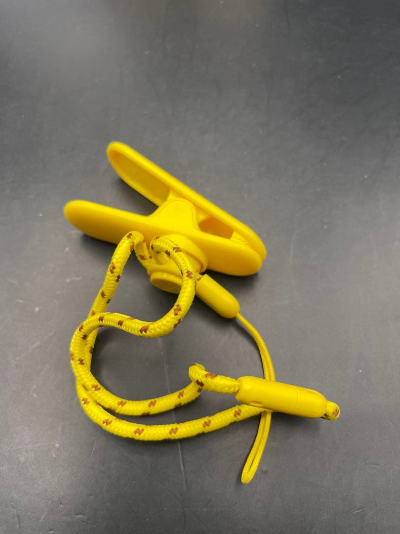 Pokemon GO Plus + ポケモンGOプラスプラス