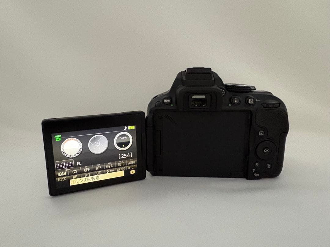 初心者おすすめ✨Nikon D5300 ダブルレンズ Wi-Fi 一眼レフ