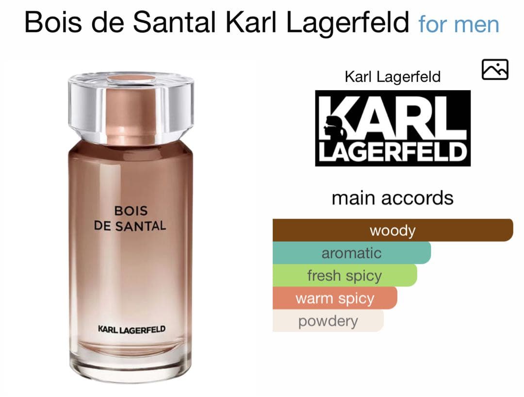 【日本未発売】カールラガーフェルド 香水　メンズ50ml サンダルウッド