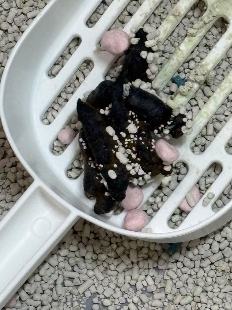 げんきさませんよう