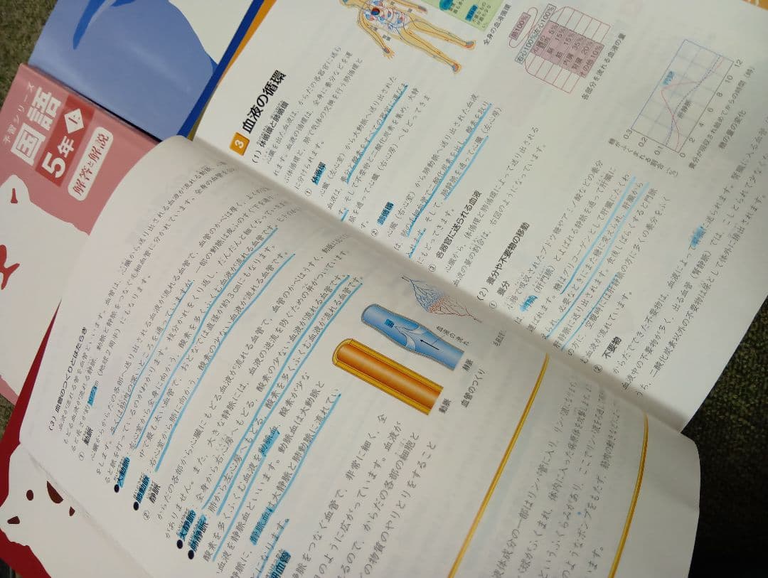四谷大塚 予習シリーズ5年 国算理社　上下　中古　2023年版