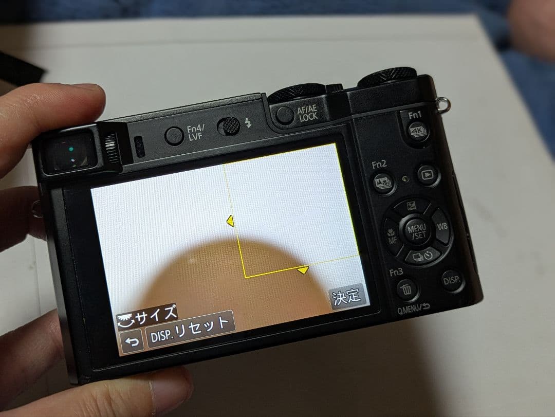 【美品】パナソニック ルミックス 光学10倍 DMC-TX1