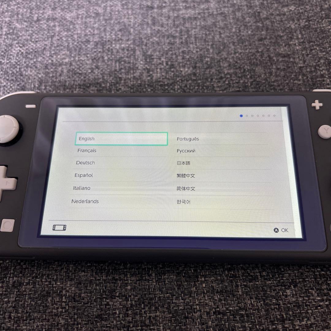 Nintendo Switch Lite グレー ※ジャンク
