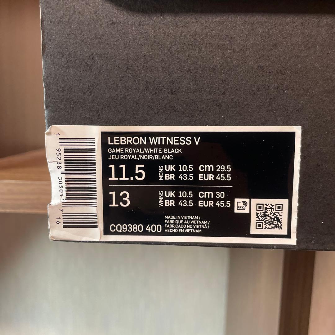 ☆希少カラー☆LEBRON WITNESS V